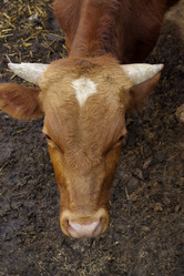 Similar image 502884