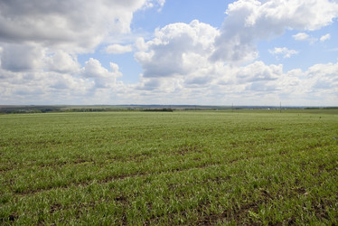 Similar image 502888