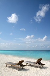 Similar image 502927