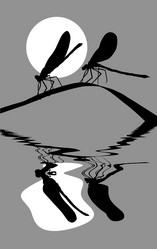 Similar image 502946