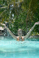 Similar image 502962