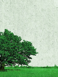 Similar image 502964