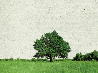 Similar image 502966