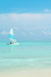 Similar image 502967