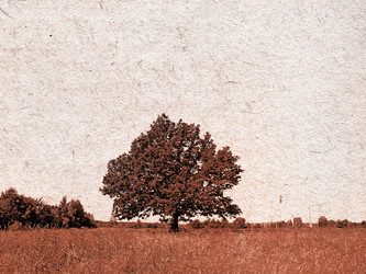 Similar image 502968