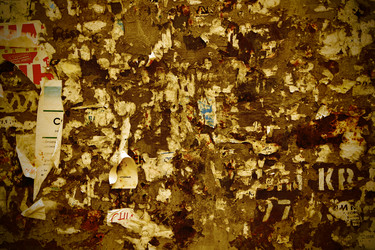 Similar image 502986