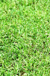 Similar image 502988