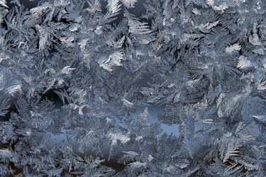 Similar image 502994