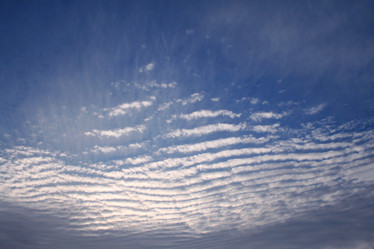 Similar image 503008