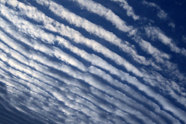 Similar image 503012