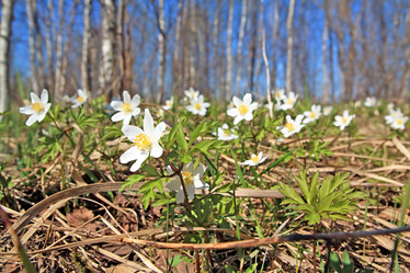 Similar image 503014