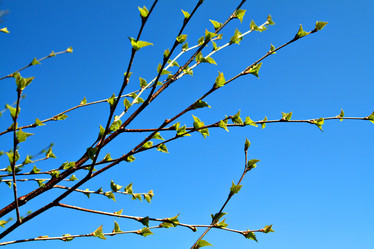 Similar image 503052