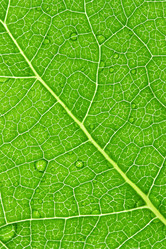 Similar image 503063