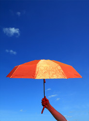 Similar image 503069