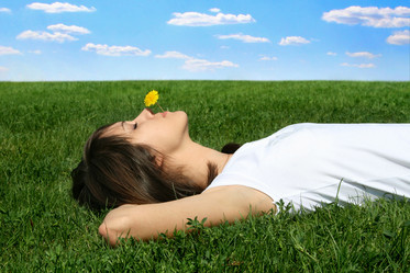 Similar image 503073