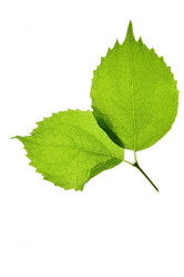 Similar image 503074