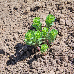 Similar image 503104