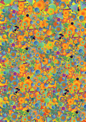 Similar image 503140