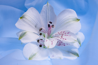 Similar image 503178