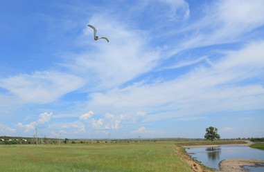 Similar image 503190