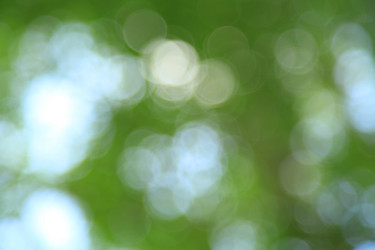 Similar image 503192