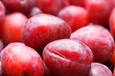 Similar image 503213