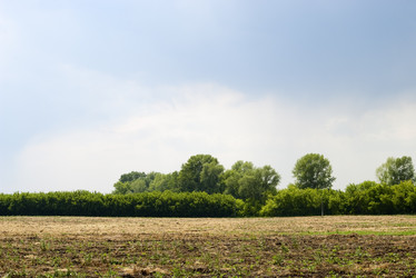 Similar image 503229