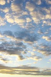 Similar image 503245