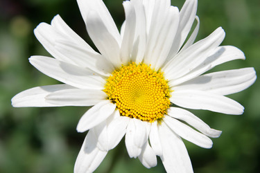 Similar image 503273