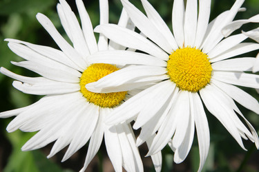 Similar image 503274