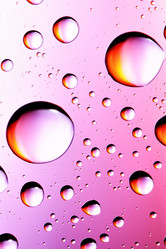 Similar image 503277