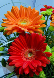 Similar image 503305