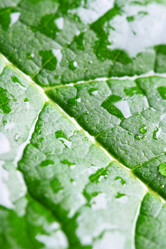 Similar image 503339