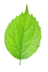 Similar image 503342