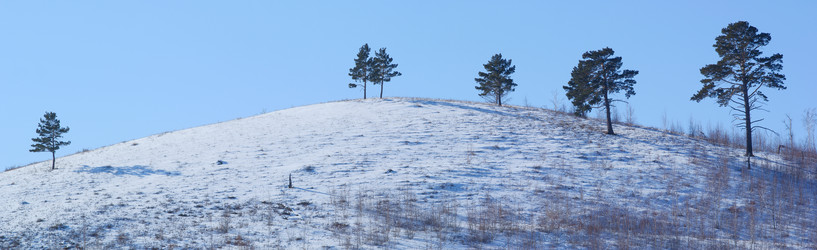 Similar image 503398