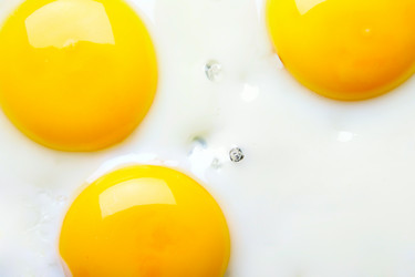 Similar image 503410