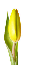 Similar image 503418