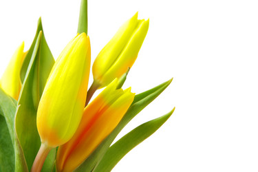 Similar image 503420