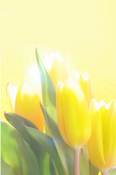 Similar image 503421