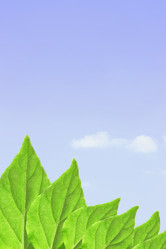 Similar image 503422