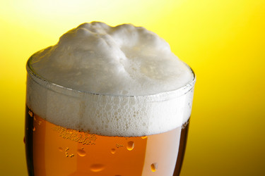 Similar image 503435