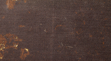 Similar image 503436