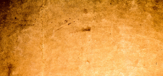 Similar image 503442