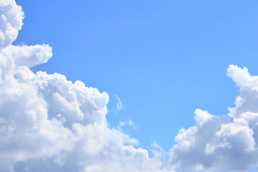 Similar image 503459