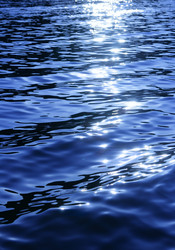 Similar image 503471