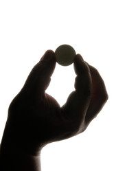 Similar image 503476