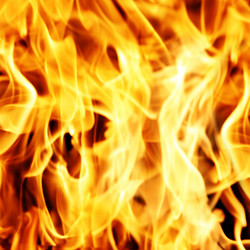 Similar image 503493