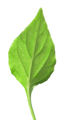 Similar image 503515