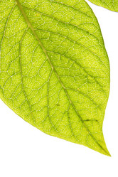 Similar image 503516