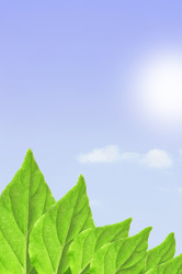 Similar image 503518